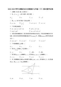 2022-2023学年安徽省安庆市桐城市七年级（下）期末数学试卷（含解析）