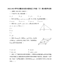 2022-2023学年安徽省合肥市瑶海区八年级（下）期末数学试卷（含解析）