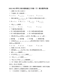 2022-2023学年上海市浦东新区八年级(下)期末数学试卷(含解析)