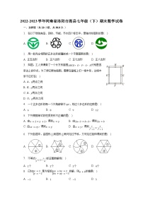 2022-2023学年河南省洛阳市嵩县七年级（下）期末数学试卷（含解析）