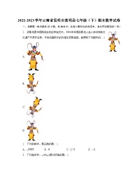 2022-2023学年云南省昆明市嵩明县七年级（下）期末数学试卷（含解析）