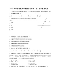 2022-2023学年重庆市潼南区七年级（下）期末数学试卷（含解析）