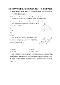 2022-2023学年安徽省合肥市瑶海区八年级（下）期末数学试卷（含解析）