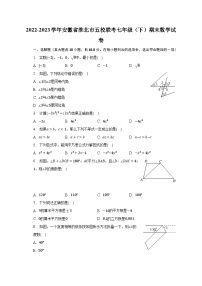 2022-2023学年安徽省淮北市五校联考七年级（下）期末数学试卷（含解析）