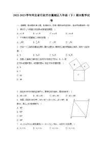 2022-2023学年河北省石家庄市藁城区八年级（下）期末数学试卷（含解析）