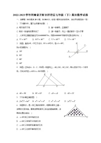 2022-2023学年河南省开封市祥符区七年级（下）期末数学试卷（含解析）