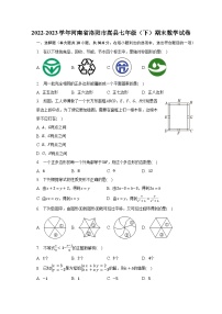 2022-2023学年河南省洛阳市嵩县七年级（下）期末数学试卷（含解析）