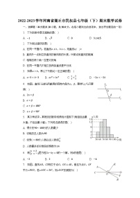 2022-2023学年河南省商丘市民权县七年级（下）期末数学试卷（含解析）