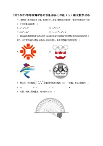 2022-2023学年湖南省邵阳市新邵县七年级（下）期末数学试卷（含解析）