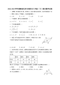 2022-2023学年湖南省长沙市浏阳市八年级（下）期末数学试卷（含解析）