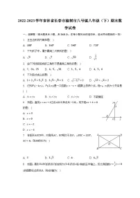2022-2023学年吉林省长春市榆树市八号镇八年级（下）期末数学试卷（含解析）