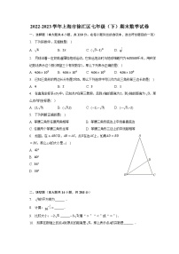 2022-2023学年上海市徐汇区七年级（下）期末数学试卷（含解析）