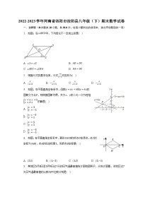 2022-2023学年河南省洛阳市汝阳县八年级（下）期末数学试卷-普通用卷