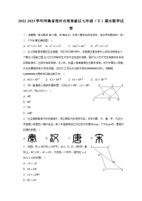 2022-2023学年河南省郑州市郑东新区七年级（下）期末数学试卷