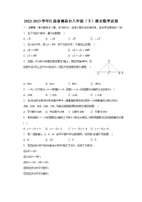 2022-2023学年江西省南昌市八年级（下）期末数学试卷