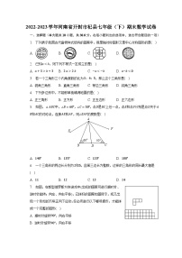 2022-2023学年河南省开封市杞县七年级（下）期末数学试卷-普通用卷