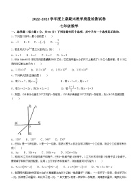 河南省漯河市郾城区2022-2023学年七年级上学期期末数学试题(含答案)