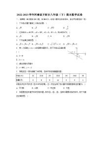 2022-2023学年河南省开封市八年级（下）期末数学试卷（含解析）