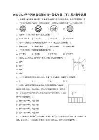2022-2023学年河南省洛阳市洛宁县七年级（下）期末数学试卷（含解析）