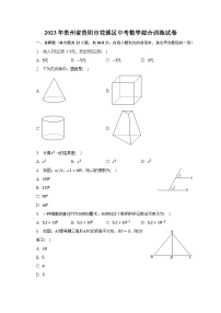 2023年贵州省贵阳市花溪区中考数学综合训练试卷（含解析）