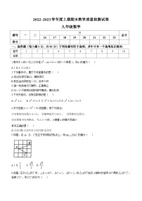 河南省漯河市郾城区2022-2023学年九年级上学期期末数学试题（含答案）