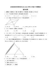 云南省昆明市嵩明县2022-2023学年八年级下学期期末数学试卷 （含答案）