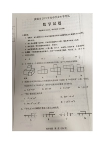 2023年辽宁省沈阳市中考数学真题