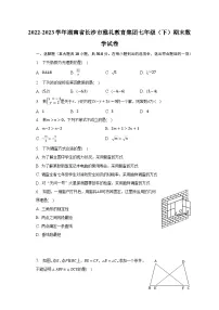 2022-2023学年湖南省长沙市雅礼教育集团七年级(下)期末数学试卷(含解析)