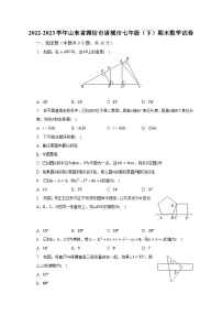 2022-2023学年山东省潍坊市诸城市七年级（下）期末数学试卷（含解析）