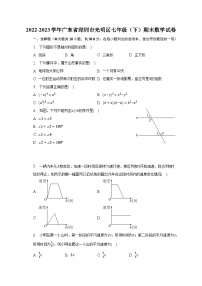 2022-2023学年广东省深圳市光明区七年级（下）期末数学试卷（含解析）