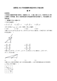 河南省南阳市新野县2022-2023学年九年级上学期期末数学试题（含答案）