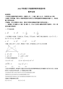 河南省南阳市社旗县2022-2023学年八年级上学期期末数学试题（含答案）