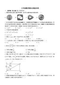 河南省信阳市平桥区龙井乡中心学校等5校2022-2023学年八年级上学期期末数学试题（含答案）