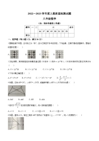 河南省驻马店市确山县2022-2023学年八年级上学期期末数学试题（含答案）