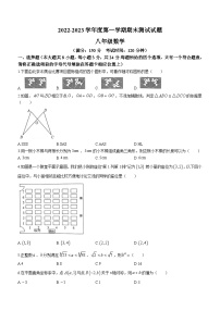 江苏省扬州市宝应县2022-2023学年八年级上学期期末数学试题（含答案）