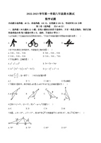 山东省德州市平原县2022-2023学年八年级上学期期末数学试题（含答案）