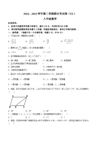 河南省周口市沈丘县中英文等校2022-2023学年八年级下学期期末数学试题(含答案)
