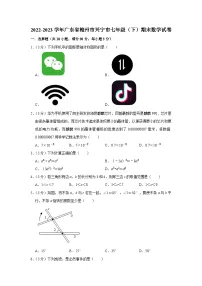 广东省梅州市兴宁市2022-2023学年七年级下学期期末数学试卷(含答案)