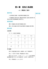 湘教版4.3 解直角三角形一等奖教案