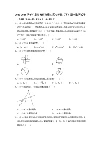广东省梅州市梅江区2022-2023学年七年级下学期期末数学试卷（含答案）