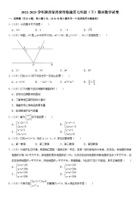 陕西省西安市临潼区2022-2023学年七年级下学期期末数学试卷（含答案）