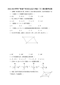 2022-2023学年广东省广州市白云区八年级（下）期末数学试卷（含解析）