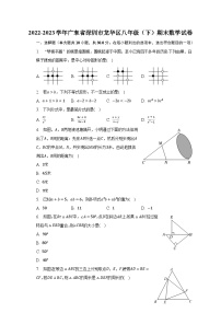 2022-2023学年广东省深圳市龙华区八年级（下）期末数学试卷（含解析）