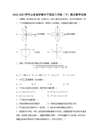 2022-2023学年山东省济南市平阴县八年级（下）期末数学试卷（含解析）