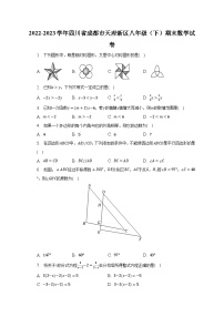 2022-2023学年四川省成都市天府新区八年级（下）期末数学试卷（含解析）