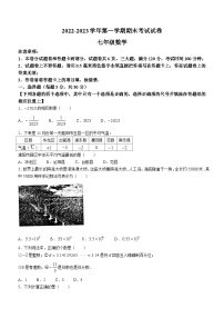 河南省濮阳市2022-2023学年七年级上学期期末数学试题（含答案）