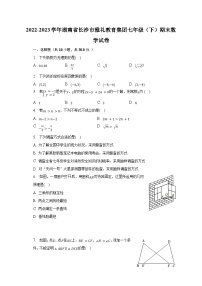 2022-2023学年湖南省长沙市雅礼教育集团七年级（下）期末数学试卷（含解析）