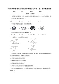 辽宁省沈阳市沈河区2022-2023学年七年级下学期期末数学试卷（含答案）