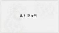 初中数学浙教版八年级下册5.3 正方形授课ppt课件