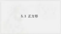 初中数学浙教版八年级下册5.3 正方形授课ppt课件